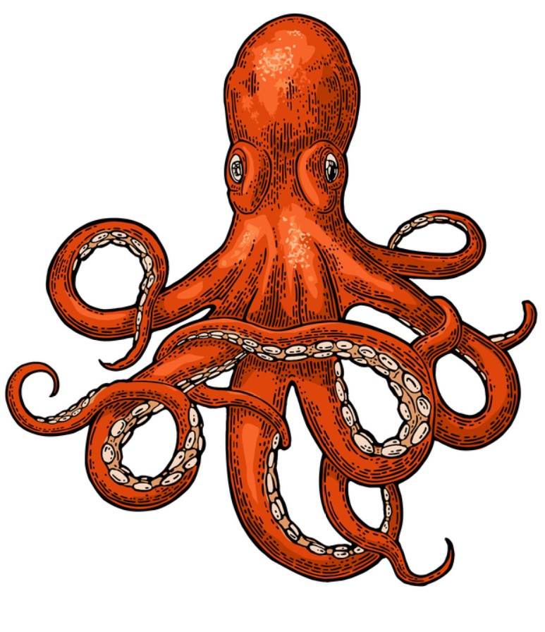 A red octopus drawing